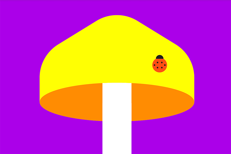 Illustration of a yellow mushroom on a purple background with a lady bug on it
