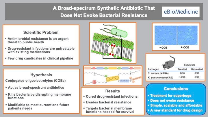 Diagram describing how the antibiotic works