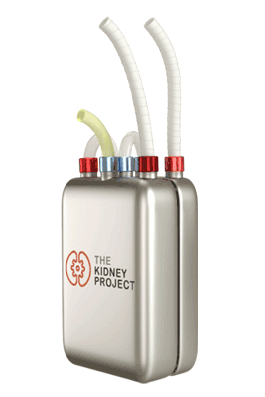 The Kidney Project bioreactor