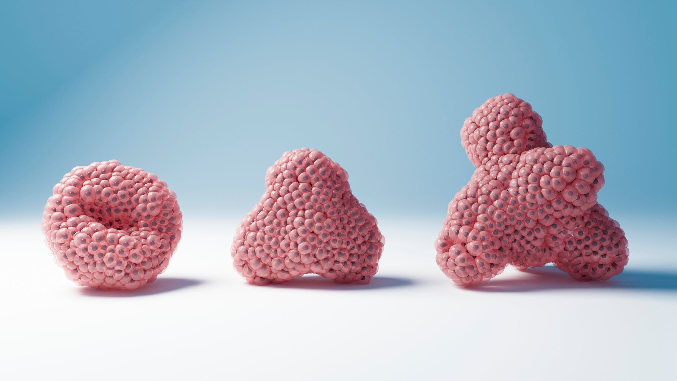 Illustration of 3 3-D blobs composed of small shiny pink sacs with a dark mass at the center of each sac.