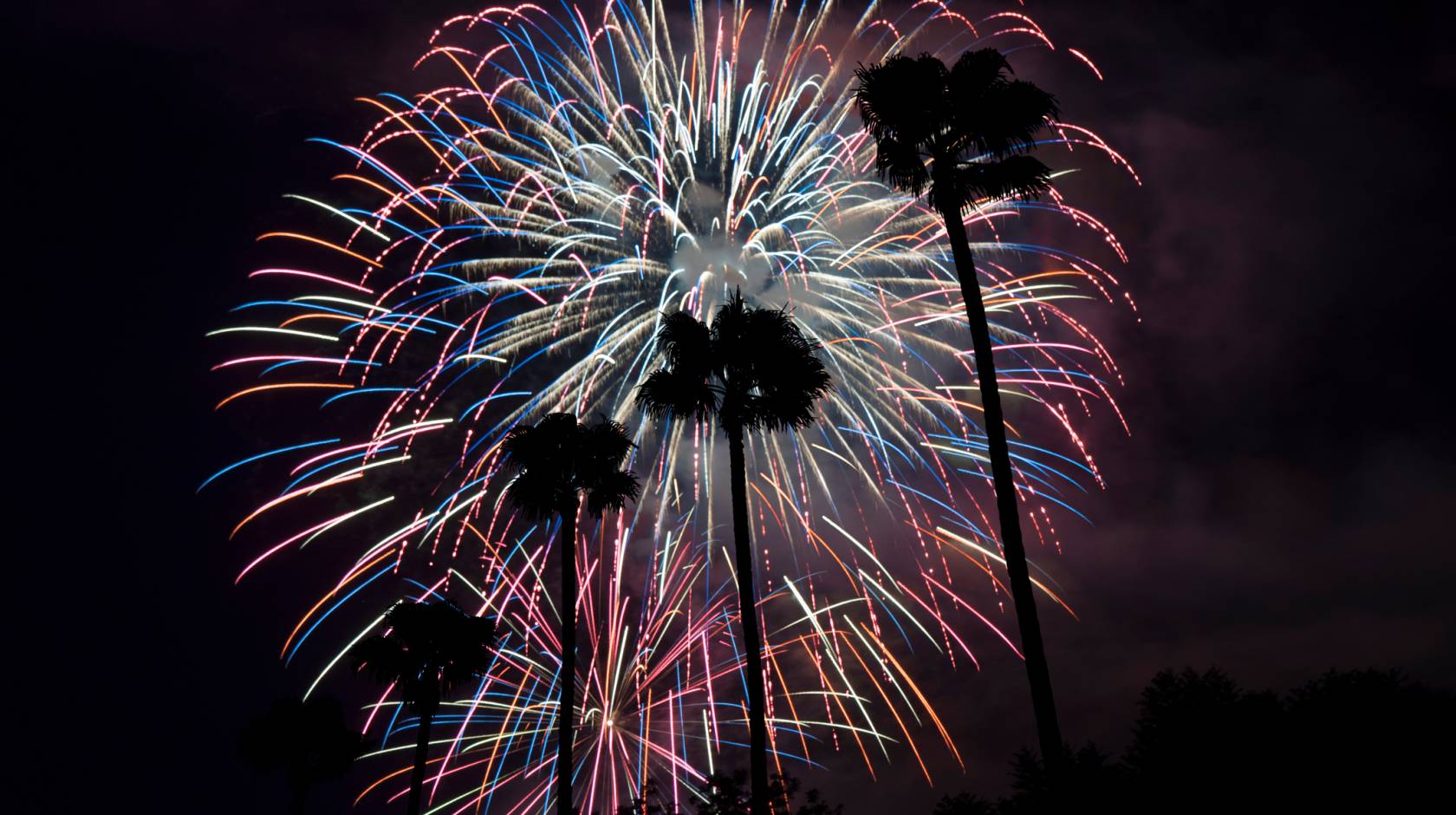 Fireworks behind a row of palm trees in California