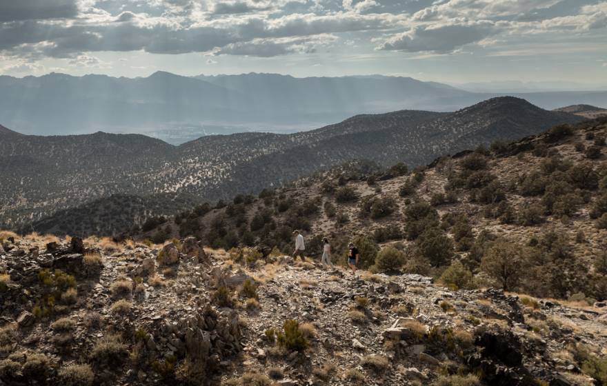 A pinyon pine forest in the Sierra Nevada mountains viewed from a distance..