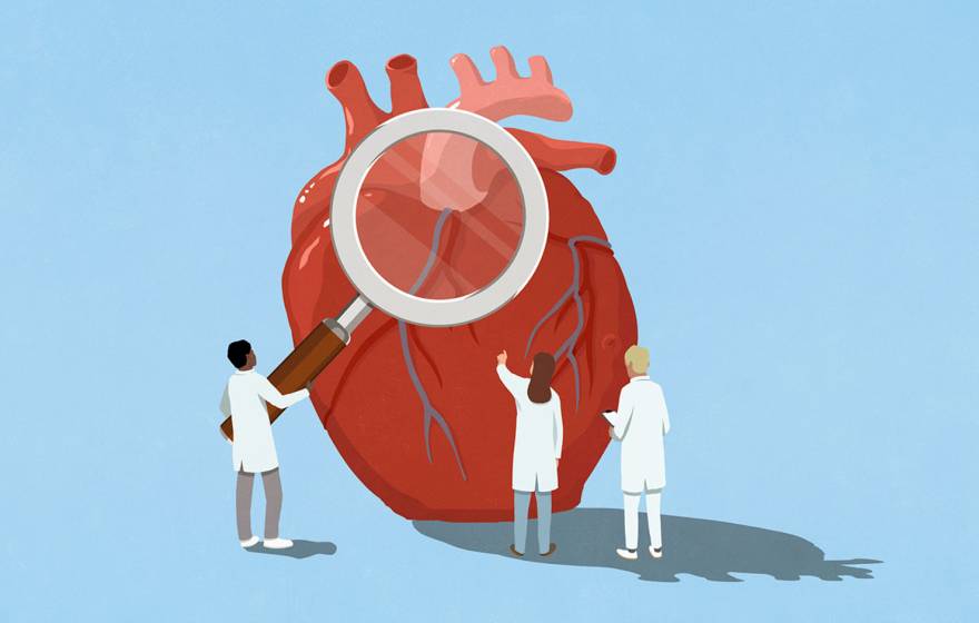 Flat-style illustration of 3 scientists standing around a human heart that's twice as tall as they are. One holds a magnifying glass.