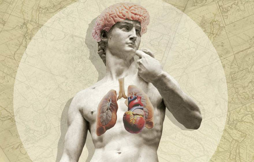 Collage of a classical marble statue with an exposed, vividly colored brain, heart and lungs, set against a vintage map background.