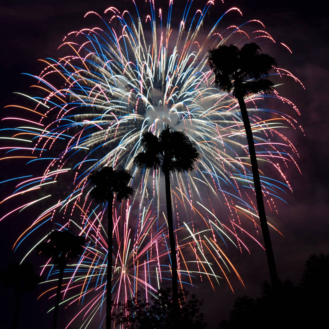 Fireworks behind a row of palm trees in California